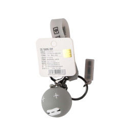Keychain - Turning Point Billiard Ball - Grey